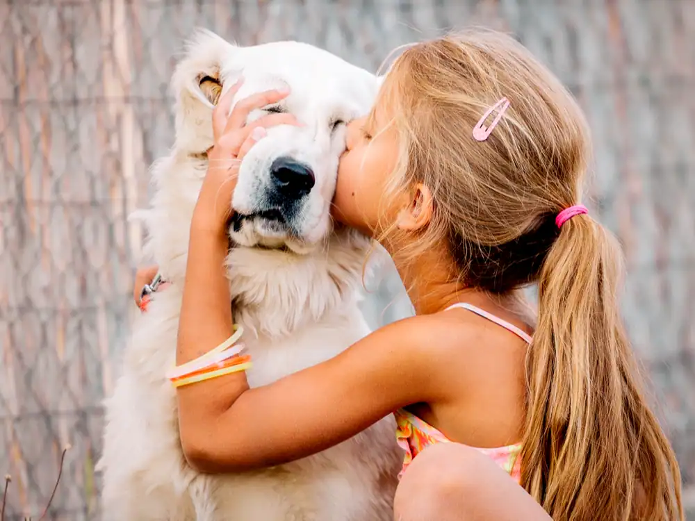 girl kissing a white dog
