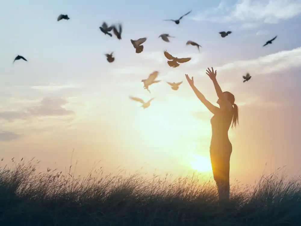 picturesque image of a woman playing with birds during a sunset